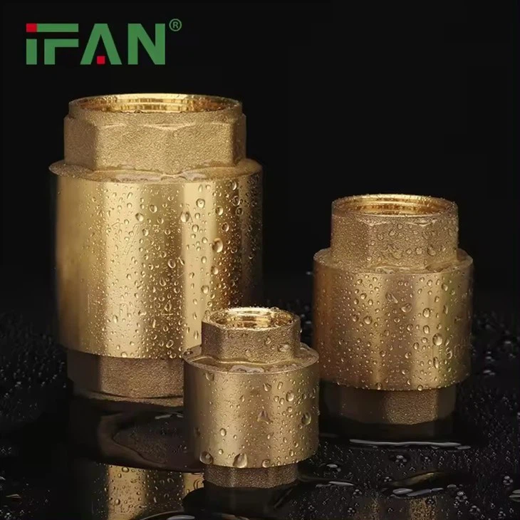 Ventil mosazného filtru IFAN